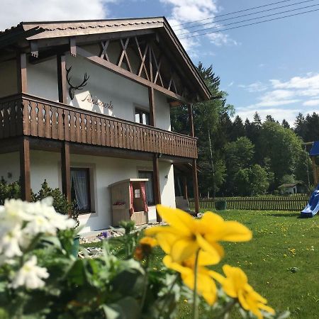 グライナウ Ferienhaus Alpenperleヴィラ エクステリア 写真